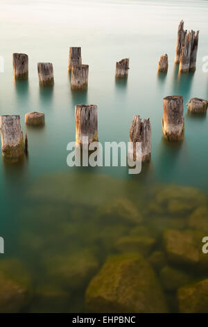 Posti di legno lasciati da un vecchio molo nel St. Clair River. Foto Stock