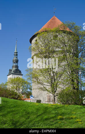 La molla nel parco di Tallinn Foto Stock