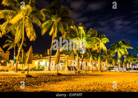 Palme e ristorante di notte a South Beach, a Key West, Florida. Foto Stock