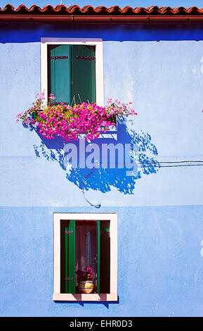 Blue House facciata e i fiori sul davanzale di Burano, piccolo fisher island vicino Venezia Foto Stock