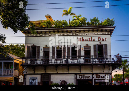 Il fischietto Bar a Key West, Florida. Foto Stock