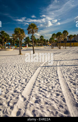 Tracce di pneumatici nella sabbia e palme sulla spiaggia di Clearwater Beach, Florida. Foto Stock