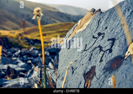 Antica pittogrammi incisi su roccia su Saimaluu Tash sito in Kirghizistan Foto Stock