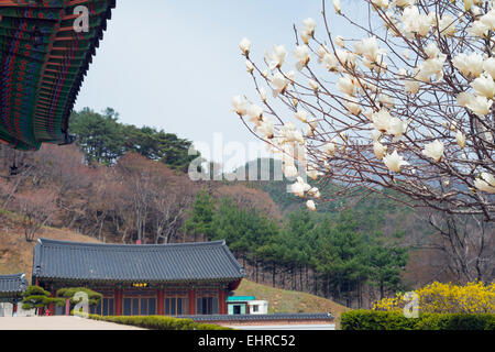 Asia, Repubblica di Corea, Corea del Sud, Gayasan National Park, Heiansa, Heian tempio buddista, sito Unesco Foto Stock