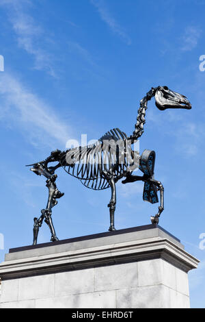 "Regalo" cavallo è un cavallo scheletro scultura in bronzo sul quarto zoccolo in Trafalgar Square a Londra. Creato da Hans Haacke. Foto Stock