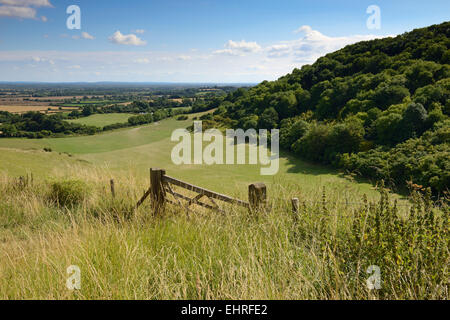 Oxfordshire campagna dal White Horse Hill, Uffington, Oxfordshire, Inghilterra, Regno Unito. Foto Stock