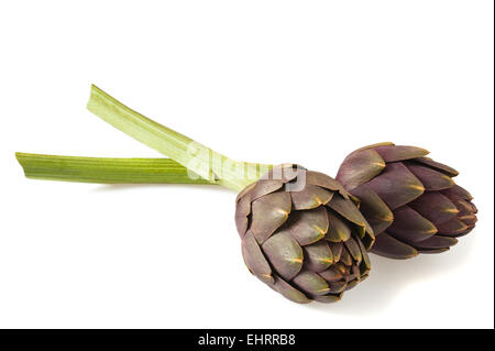 Carciofi freschi isolato su bianco Foto Stock