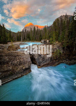 Fiume Kicking Horse e Ponte naturale cade con il tramonto in British Columbia Canadian Rockies e il Parco Nazionale di Yoho. Foto Stock