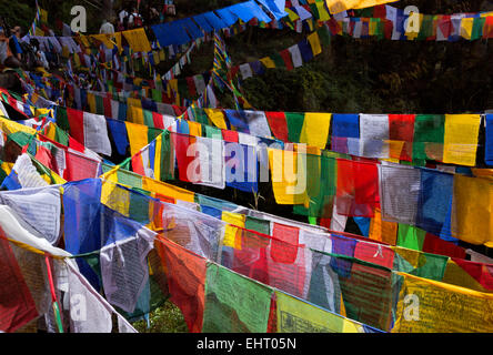 Il Bhutan - una pletora di bandiere di preghiera da una cascata vicino all'entrata Taktshang Goemba, (Tiger's Nest monastero). Foto Stock