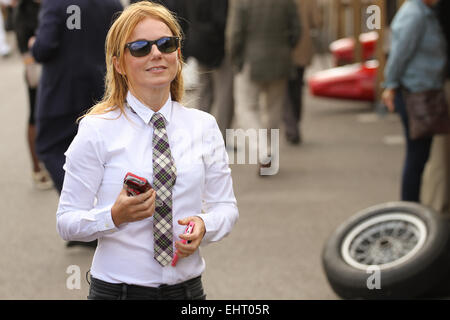 Geri Halliwell al Goodwood Festival 2014 Goodwood station wagon, Chichester, West Sussex offre: Geri Halliwell dove: Chichester, West Sussex, Regno Unito quando: 12 Set 2014 Foto Stock