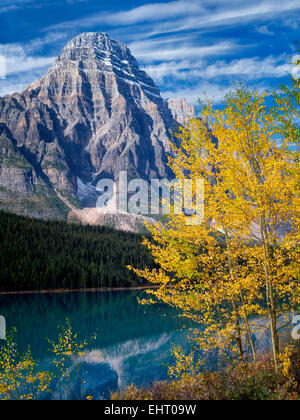 Waterfaowl laghi e Mt. Chephren con fall aspens colorati. Il Parco Nazionale di Banff. Lo stato di Alberta, Canada Foto Stock