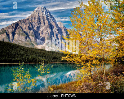 Waterfaowl laghi e Mt. Chephren con fall aspens colorati. Il Parco Nazionale di Banff. Lo stato di Alberta, Canada Foto Stock