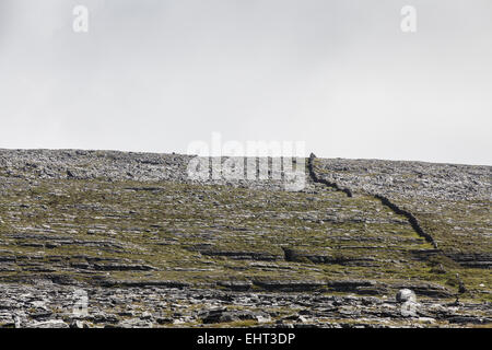 Paesaggio in The Burren National Park Foto Stock
