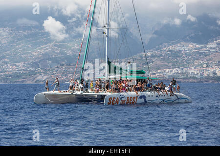 I turisti facendo una barca per fare whale watching trip all'oceano vicino a Funchal, la capitale di Madeira, Portogallo Foto Stock