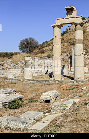 Prytaneion (luogo di incontro) Efeso Turchia Foto Stock