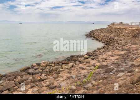 Rive del mar rosso Foto Stock