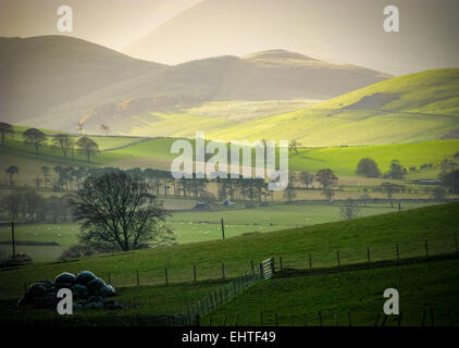 Basso sole invernale sulle colline rurali nei confini scozzesi Foto Stock