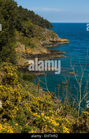 Illustrazione della Costa Smeralda, (22) COTES-D'ÄôARMOR, Bretagna Francia Foto Stock