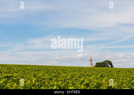 Vigneto con torre e albero a Chateau Roque de da nel Medoc Gironda, Francia. Foto Stock
