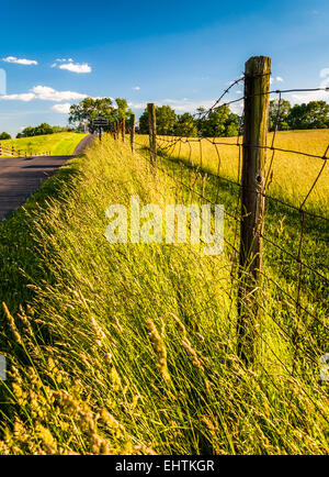 Recinzione e erbe lungo una strada in corrispondenza di Antietam National Battlefield, Maryland. Foto Stock