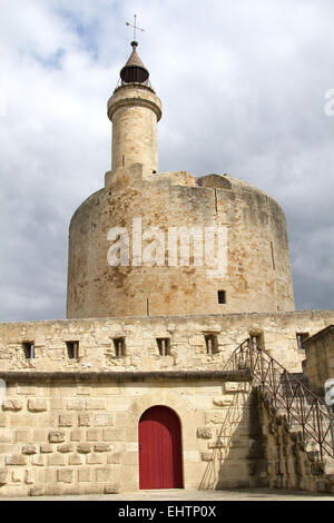 Illustrazione della CAMARGUE, Gard (30), LANGUEDOC-ROUSSILLON, Francia Foto Stock