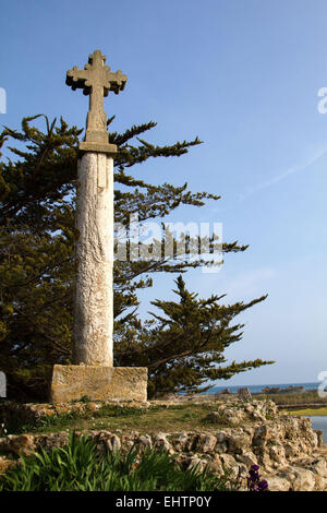 Illustrazione della Camargue, HERAULT (34), LANGUEDOC-ROUSSILLON, Francia Foto Stock