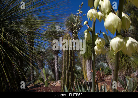 TROPICAL il giardino zoologico, La londe les maures, (83) VAR, PACA, Francia Foto Stock