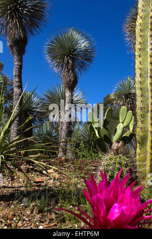 TROPICAL il giardino zoologico, La londe les maures, (83) VAR, PACA, Francia Foto Stock