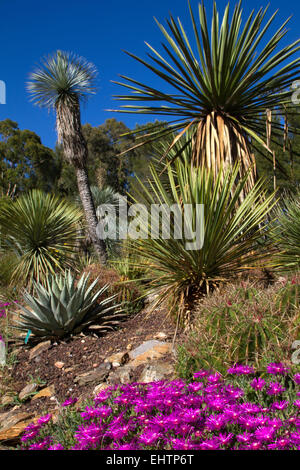 TROPICAL il giardino zoologico, La londe les maures, (83) VAR, PACA, Francia Foto Stock