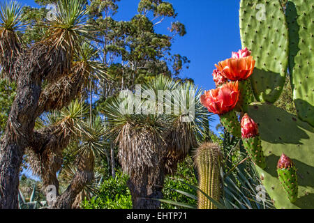 TROPICAL il giardino zoologico, La londe les maures, (83) VAR, PACA, Francia Foto Stock