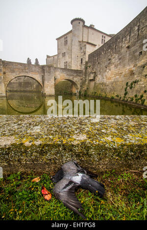 A AIGUES MORTES, (Gard), LANGUEDOC-ROUSSILLON, Francia Foto Stock