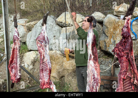 PARTIE DE CHASSE AUX SANGLIERS, CONTES. (06) Alpes-maritimes, francia Foto Stock