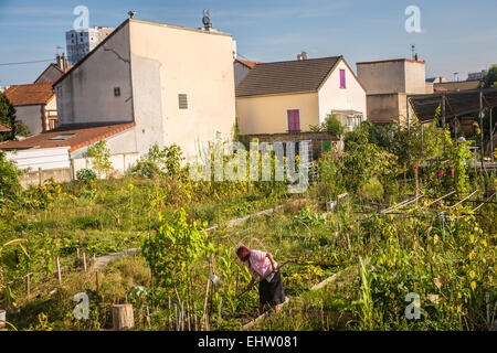Giardino SPERIMENTALE Progetto R-UBAN dal workshop di architettura AUTOGEREE (AAA), COLOMBES (92) HAUTS-DE-SEINE, Francia Foto Stock