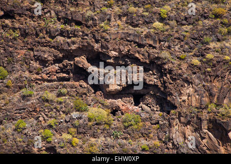 Barranco de Guayadeque, grotte naturali alle pendici del Barranco, alcuni fatti abitabile Foto Stock