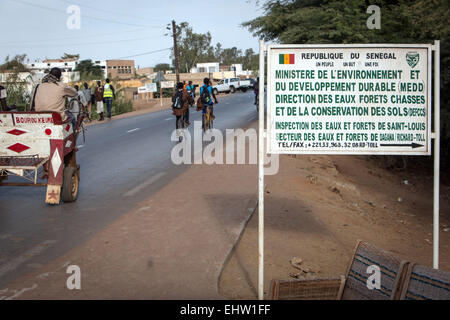 Illustrazione del Senegal, AFRICA OCCIDENTALE Foto Stock