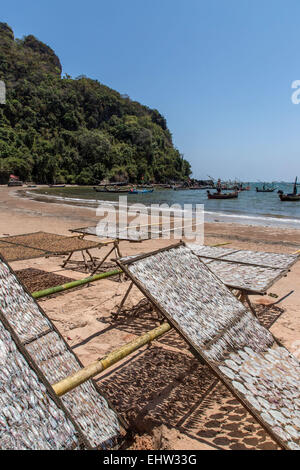 La pesca in Thailandia, ASIA DU SUD-EST Foto Stock