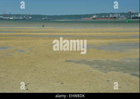 Durban, KwaZulu-Natal, Sud Africa, esposto velme a bassa marea nel porto della città, la gente la raccolta di gamberi di sabbia, esche, pesca, paesaggio Foto Stock