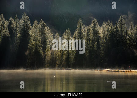 Banca di legno al Lago Hintersee Foto Stock