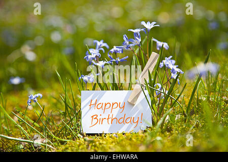 "Buon Compleanno! Con fiori di primavera Foto Stock
