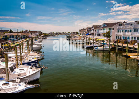 Barche e case nel porto di Point Pleasant Beach, New Jersey. Foto Stock