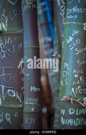 Alcuni Graffiti su alcuni Bamboo nei tropichi Foto Stock