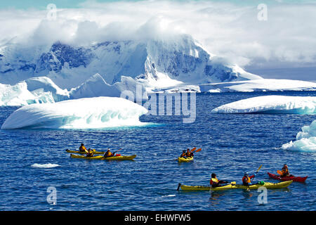 Kayak di mare intorno iceberg off de Cuverville Island, Antartide Foto Stock