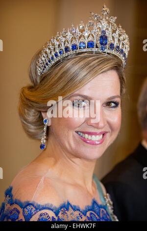 Copenhagen, Danimarca. Xvii Mar, 2015. Regina Maxima dei Paesi Bassi al banchetto di stato nel palazzo di Christiansborg a Copenhagen, in Danimarca, il 17 marzo 2015. La Dutch King e Queen sono in Danimarca per una due giorni di visita di stato. Credito: dpa picture alliance/Alamy Live News Foto Stock