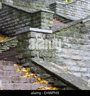 Scala di pietra che conduce, close-up Foto Stock