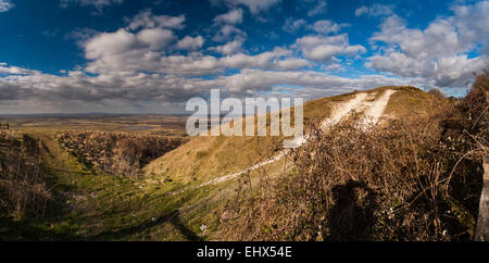 Rackham banche Età del Ferro Cross Dyke vicino a Amberley sulla South Downs Way, West Sussex, Regno Unito Foto Stock