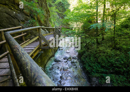 Passerella in legno, stream in Nothklamm gorge, Gams, Palfau, Hieflau, Stiria, Austria Foto Stock