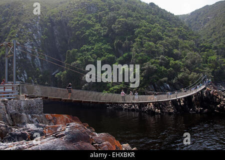 Ponte sospeso sopra la bocca del fiume di tempeste, Tsitsikamma National Park, Sud Africa Foto Stock