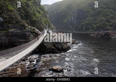 Ponti di sospensione sopra la bocca del fiume di tempeste, Tsitsikamma National Park, Sud Africa Foto Stock
