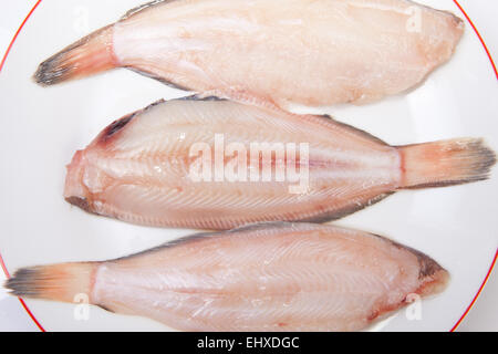 Materie suola pesci pronti per cucinare. Piastra di tre pezzi isolati su sfondo bianco Foto Stock