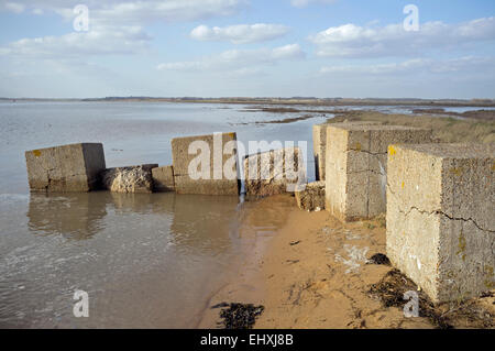 Seconda guerra mondiale anti-invasione di blocchi in calcestruzzo accanto al fiume Deben, Bawdsey traghetto, Suffolk, Regno Unito. Foto Stock